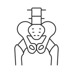 Poster - Human hip bones line icon. Anatomical model for medical students. Learning skeleton parts. Education supplies. Isolated vector illustration. Outline symbol. Simple linear drawing. Editable stroke