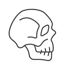Poster - Skull line icon. Halloween holiday spooky decor. Human head bone frame side view. Anatomy studying model. Isolated vector illustration. Outline symbol. Simple linear drawing. Editable stroke