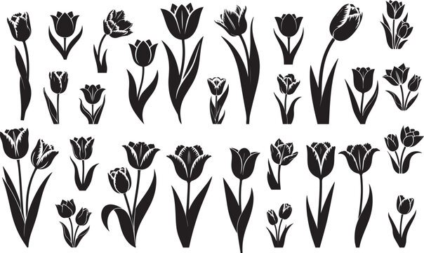 Beautiful tulip flower black silhouette set vector illustration icon collection