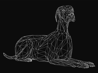 Poster - A black and white wireframe dog lays down, composed of intricate geometric shapes and lines on a dark background. The minimalist design highlights the animal's form with clean, abstract details.