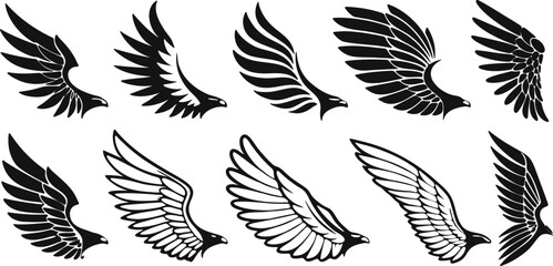 Poster - Collection of stylized eagle wings illustrations on background different shapes angles for design