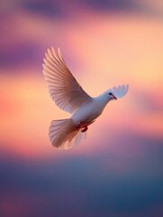 Aufkleber - Peace Dove Gliding Gracefully Through a Stunning Gradient Sky at Dusk