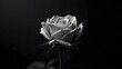 © Maruchan - condolence card with rose flower black and white concept