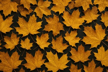 Poster - Autumnal maple leaves scattered on a dark surface