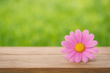 Poster - Blossoming pink flower resting on a rustic wooden surface with a lush green blurred backdrop