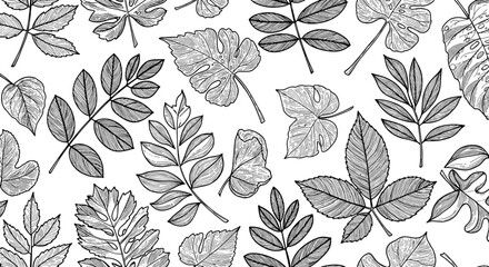 Poster - Monochrome botanical vector illustration pattern for nature design in line art style