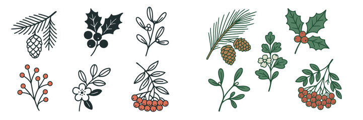Poster - Floral and botanical illustrations with various leaves and berries in a natural design
