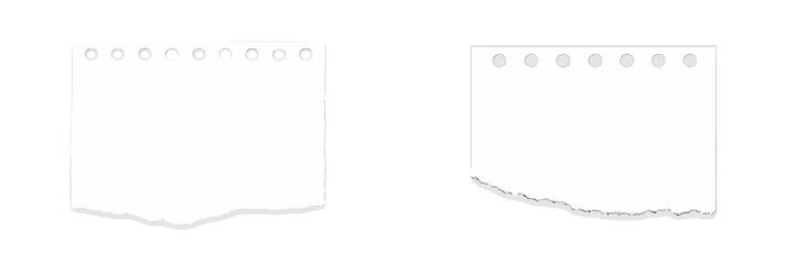 Poster - Blank torn sheets of paper arranged neatly on a white background, ideal for creative projects or note-taking tasks