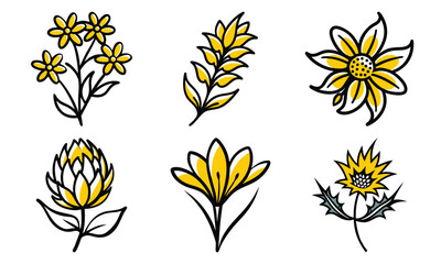 Poster - Collection of stylized yellow flowers with black outlines representing various species in a clean illustration