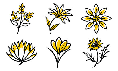 Poster - Six unique hand drawn stylized yellow flowers and foliage outlined in black for design elements