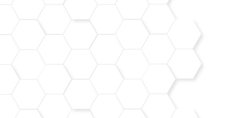 Fototapete - Abstract geometric vector minimal white lines Hexagonal structure futuristic white background and Embossed Hexagon , honeycomb white mosaic cell web ,light and shadow texture design.	