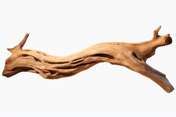 Poster - Driftwood branch with textured surface isolated on white background, creating a natural and artistic element