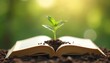 © miss irine - Young seedling sprouting from open book. Symbol of growth knowledge nature. Green plant grows from pages. Represents education environment sustainability concepts.