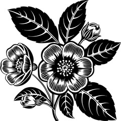 Poster - Elegant botanical illustration featuring black and white flowers with leaves and buds for creative design elements