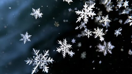 Poster - Close-up of falling snowflakes on a dark background. Perfect for winter projects, holiday videos and atmospheric screensavers.