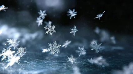 Aufkleber - A mesmerizing microcosm of winter: crystal clear snowflakes in detail. A wonderful background for atmospheric videos.
