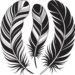 Poster - Three monochrome feathers with detailed line work arranged in a semi circle on a white background