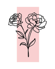 Poster - Elegant Floral Line Art with Rose and Peony on Pastel Background for Creative Projects