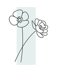 Poster - Two Flowers Line Art on Light Blue Rectangle Background Vector Illustration