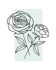 Poster - Two Roses Line Art on Light Blue Rectangle Background Vector Illustration