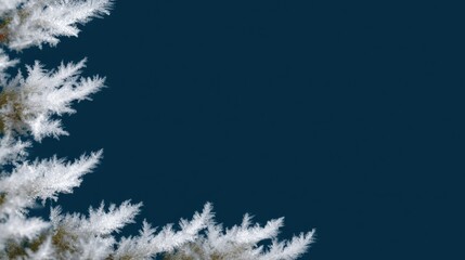 Wall Mural - White frosted branches on the left against a deep blue background, evoking a wintery, serene atmosphere.