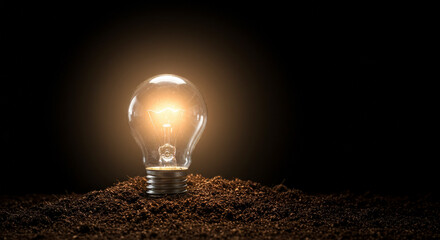 Wall Mural - Glowing Lightbulb Emerging From Soil Against Dark Background Symbolic Of Innovation