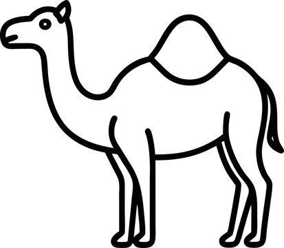 Line art  camels in various poses and positions walking