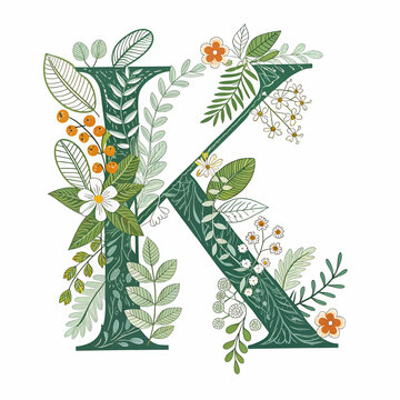 botanical capital letter k vector
