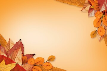 Poster - Decorating orange gradient backdrop with autumn leaves border in flat design, copy space