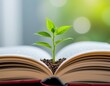 © PureStock - A small green plant grows from soil nestled in the center of an open book, symbolizing knowledge and growth.