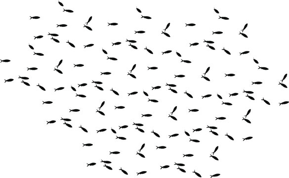 Abstract Illustration of a School of Fish Swimming in a Pattern