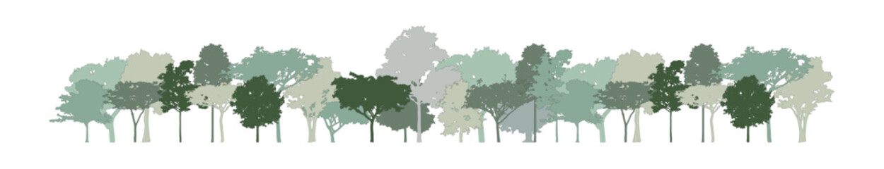 Poster - tree section for decorate boarder or architectural drawing