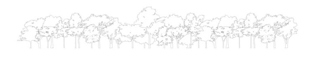 Poster - tree section for decorate boarder or architectural drawing