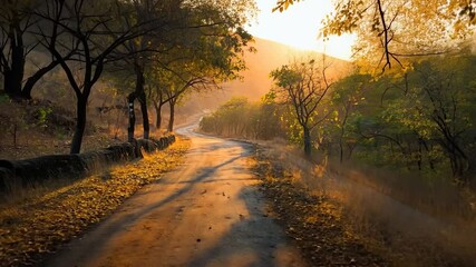 Poster - Dirt road through a forest at sunrise