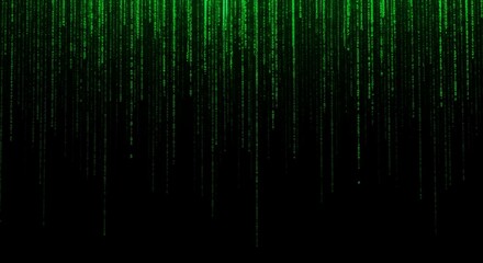 Poster - Green Binary Code Falling on Black Background