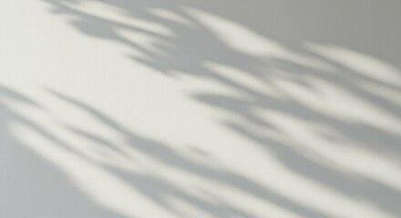 Aufkleber - Shadow Overlay Texture on Plain White Wall