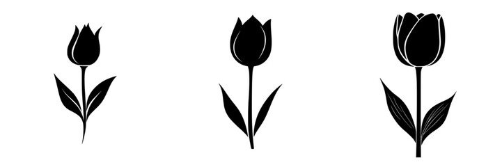 Poster - Silhouette pictogram of three distinct tulip flowers with varying shapes and styles against a white background