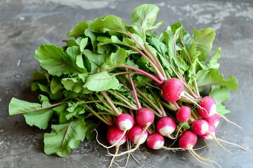 Poster - Bunch of colorful radishes with lush green leaves, showcasing the freshness of a healthy ingredient from the garden