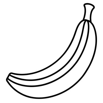 Hanging Banana Bunch Line Art – White Background Vector