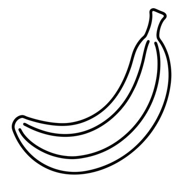 Hanging Banana Bunch Line Art – White Background Vector