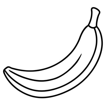 Hanging Banana Bunch Line Art – White Background Vector
