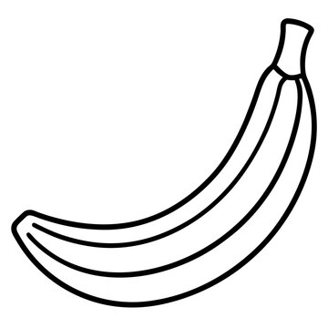 Hanging Banana Bunch Line Art – White Background Vector