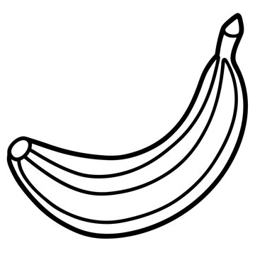 Hanging Banana Bunch Line Art – White Background Vector