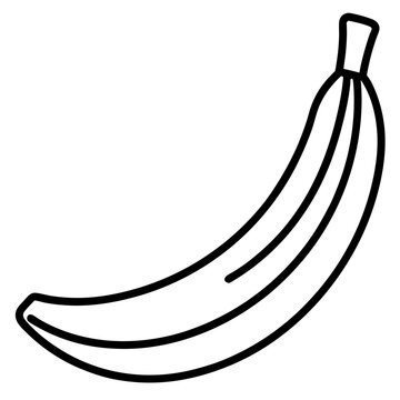 Hanging Banana Bunch Line Art – White Background Vector