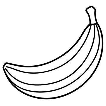 Hanging Banana Bunch Line Art – White Background Vector