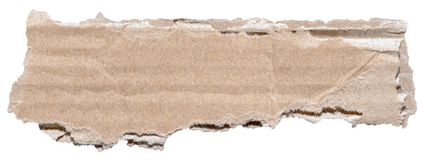 Poster - Isolated cut out torn piece of brown corrugated cardboard paper with texture and copy space for text, transparent png background design element