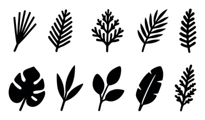 Poster - Nature, plants silhouette icon set. botanical, foliage silhouette designs