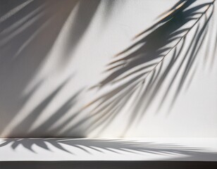 Aufkleber - abstract background with palm shadows on white wall light and shadow effect for product presentation empty mockup