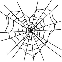 spider and web