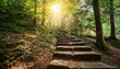 © Oliver - sunlit forest path with stone steps